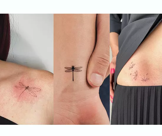 Small Dragonfly Tattoo Design Ideas