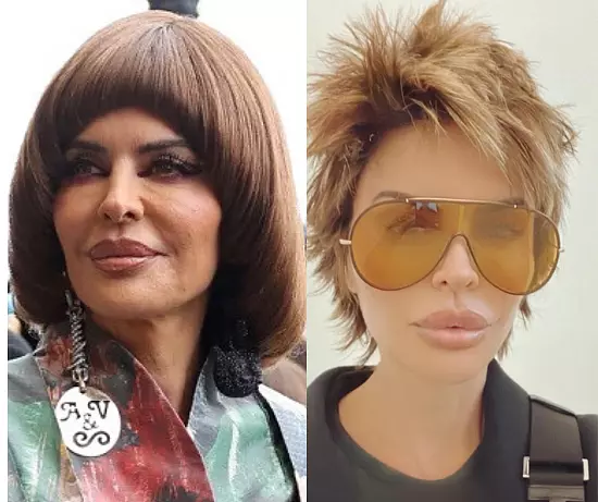 Stunning Lisa Rinna Hairstyles