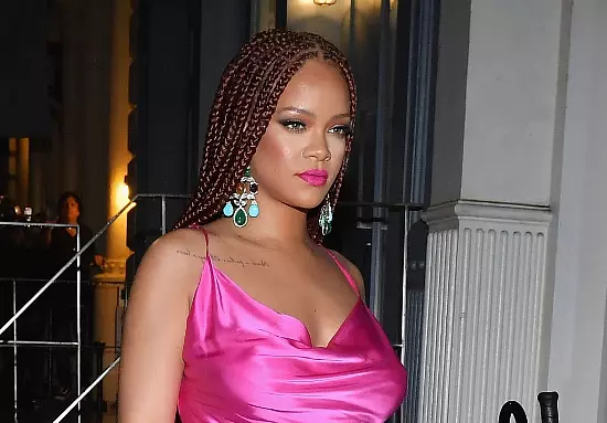 Box Braids Hairstyles