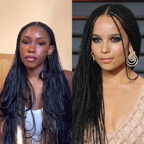 micro braids hairstyles for black women