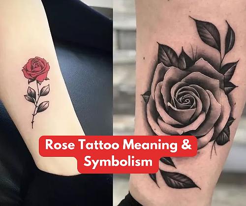 Rose Tattoo Exact Meaning and Symbolism
