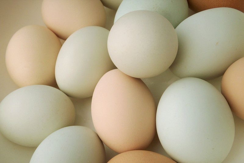 https://upload.wikimedia.org/wikipedia/commons/0/0a/Eggs_173.jpg