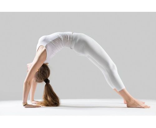 35_Best_Yoga_Asanas_For_Beginners