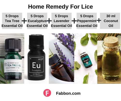 1_Home_Remedies_For_Lice