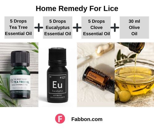 2_Home_Remedies_For_Lice