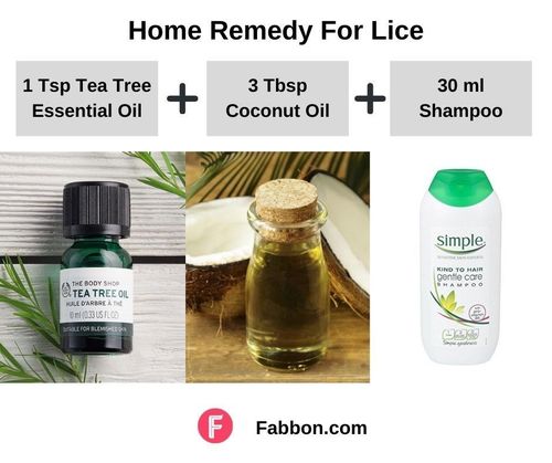 3_Home_Remedies_For_Lice