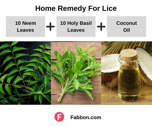 4_Home_Remedies_For_Lice