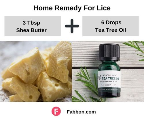 12_Home_Remedies_For_Lice