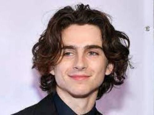 chalamet-hairstyle-for-long-hair