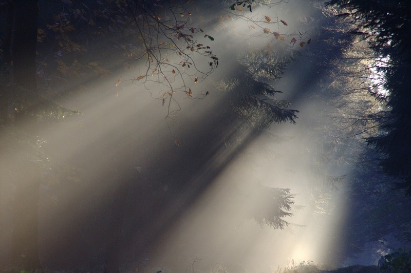 https://pixabay.com/en/sunbeam-fog-autumn-nature-sunlight-76825/
