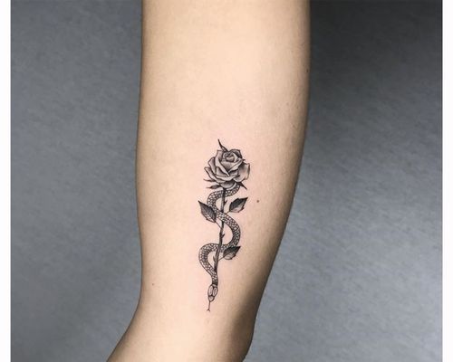 snake-and-rose-tattoo