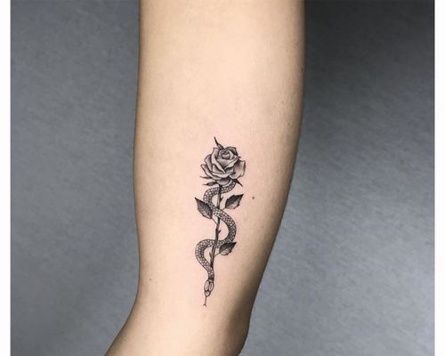 Snake and flower by Femme Fatale Tattoo  Tattoogridnet