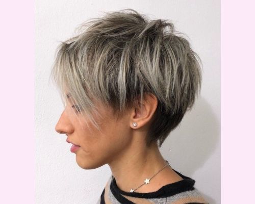 pixie-bob-with-irregular-layers