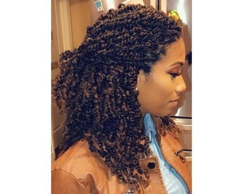 Hairstyle Ideas for Type 4 Kinky Curly Hair  Perfect Locks