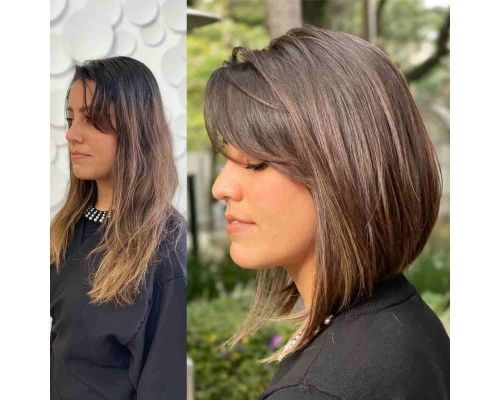 Chic Long Angled Bob with Layers and Brunette Color - The Latest Hairstyles  for Men and Women (2020) - Hairstyleology