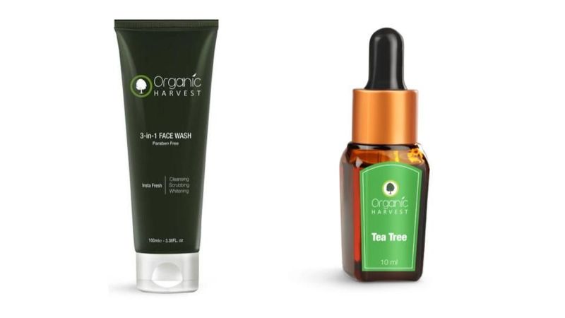 12 Best Organic Skincare Brands In India - 2023 | Fabbon
