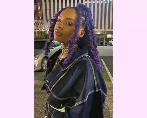 black-and-purple-hair-locks