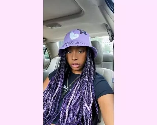 shades-of-purple-braids