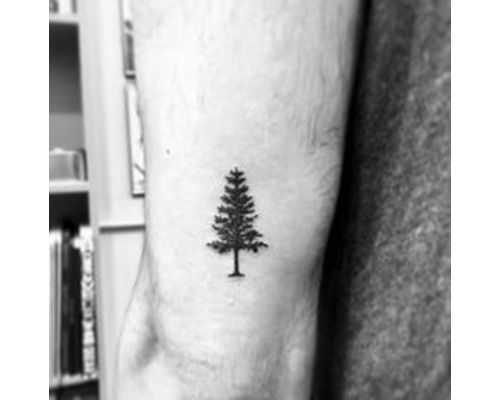 Trees Tattoo | Temporary Tattoos - minink