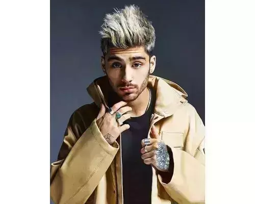 the strand of hair that reset history | #zaynmalik | zayn malik edit |  TikTok