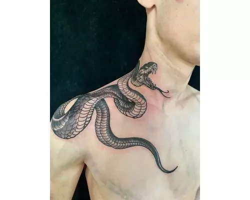 Would you get a snake piece from me  tattooapprentice singleneedl   TikTok