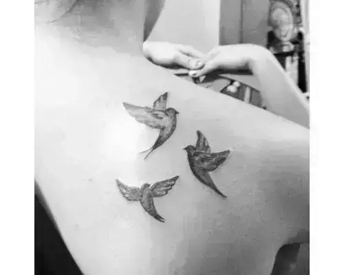 Buy Dove Tattoo Online In India  Etsy India