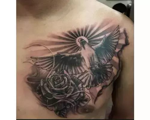 black and white dove and rose peace tattoo on chest  EntertainmentMesh