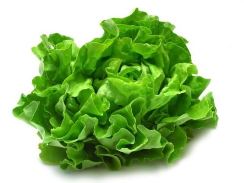 Lettuce