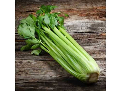 Celery