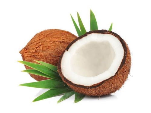 Coconut