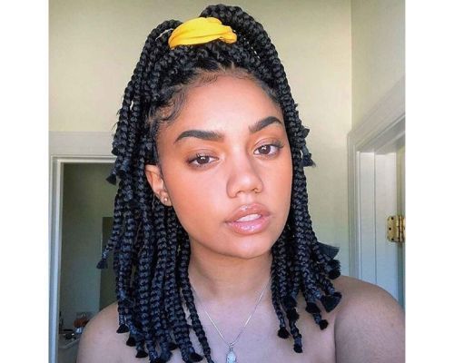 25 Box Braids Hairstyles For Black Women Fabbon 