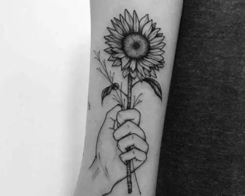 sunflower-with-hand