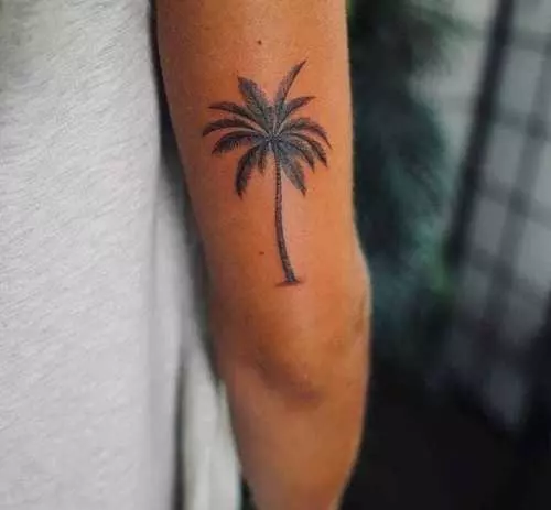 27 Best Palm Tree Tattoo Designs With Meanings | Fabbon