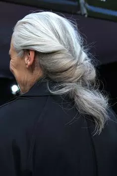 b1de34c2450918636adb22d1d82e7db0--advanced-hair-gray-hairstyles