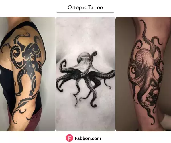 octopus