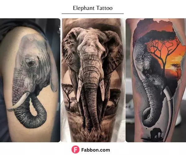 elephant