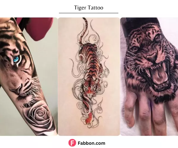 tiger