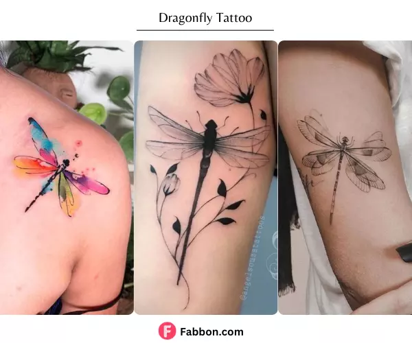 dragonfly