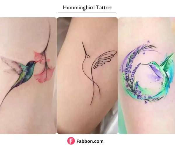 hummingbird