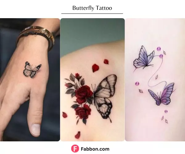 butterfly