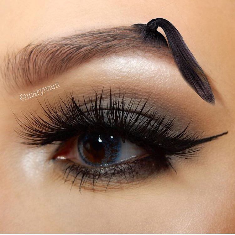 pontail eyebrows