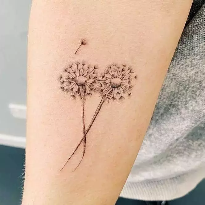 black-and-grey-dandelion