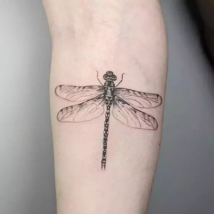 dragonfly-tattoos-simple