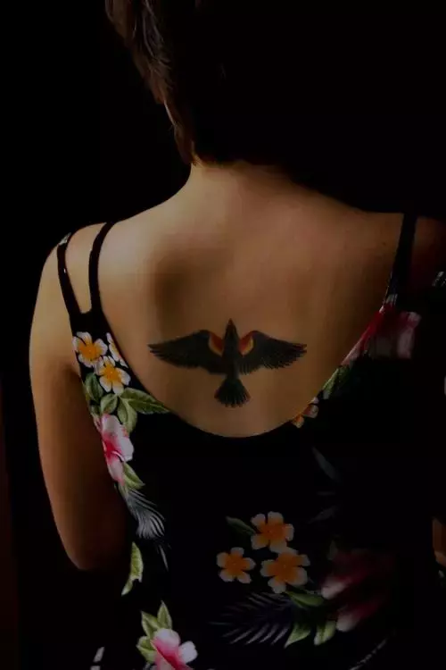 blackbird-tattoo