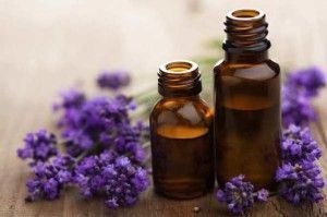 5- Lavender essential oil