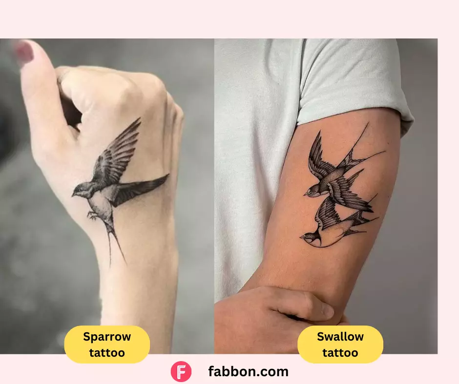 sparrow-vs-swallow-tattoo