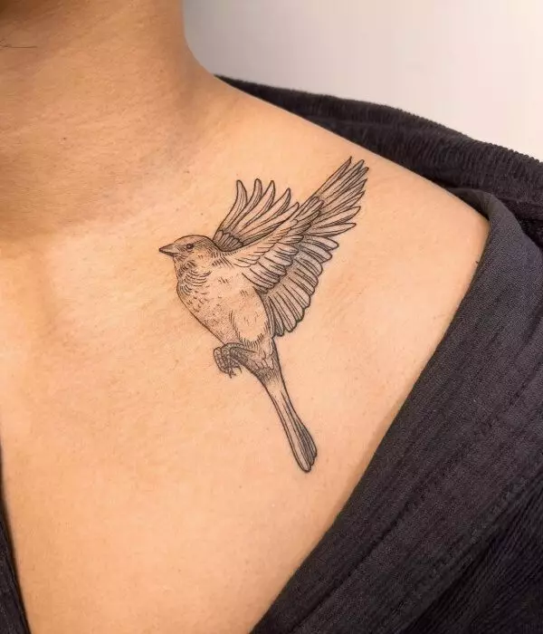 Bird-Collarbone-Tattoo