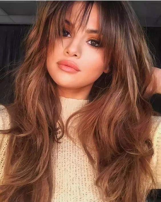 Selena Gomez Straight Dark Brown High Ponytail, Ponytail Hairstyle | Steal  Her Style