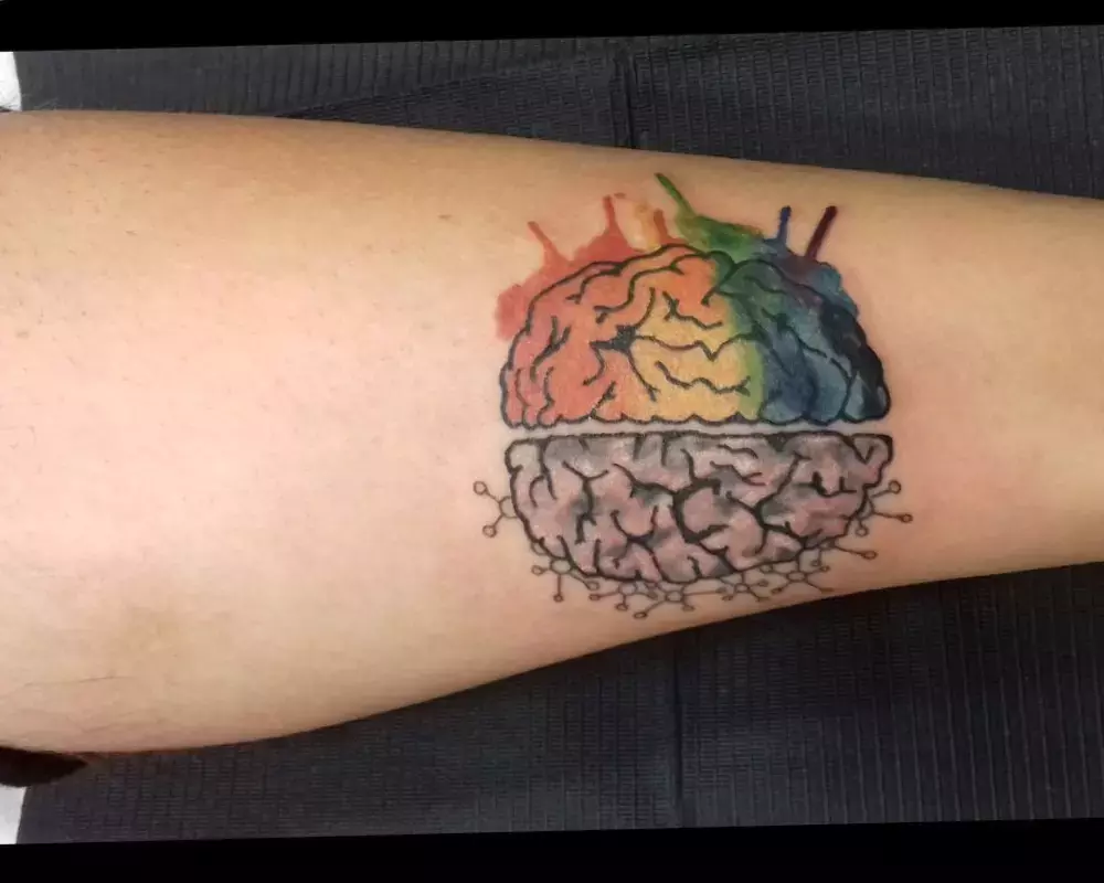 Watercolor brain