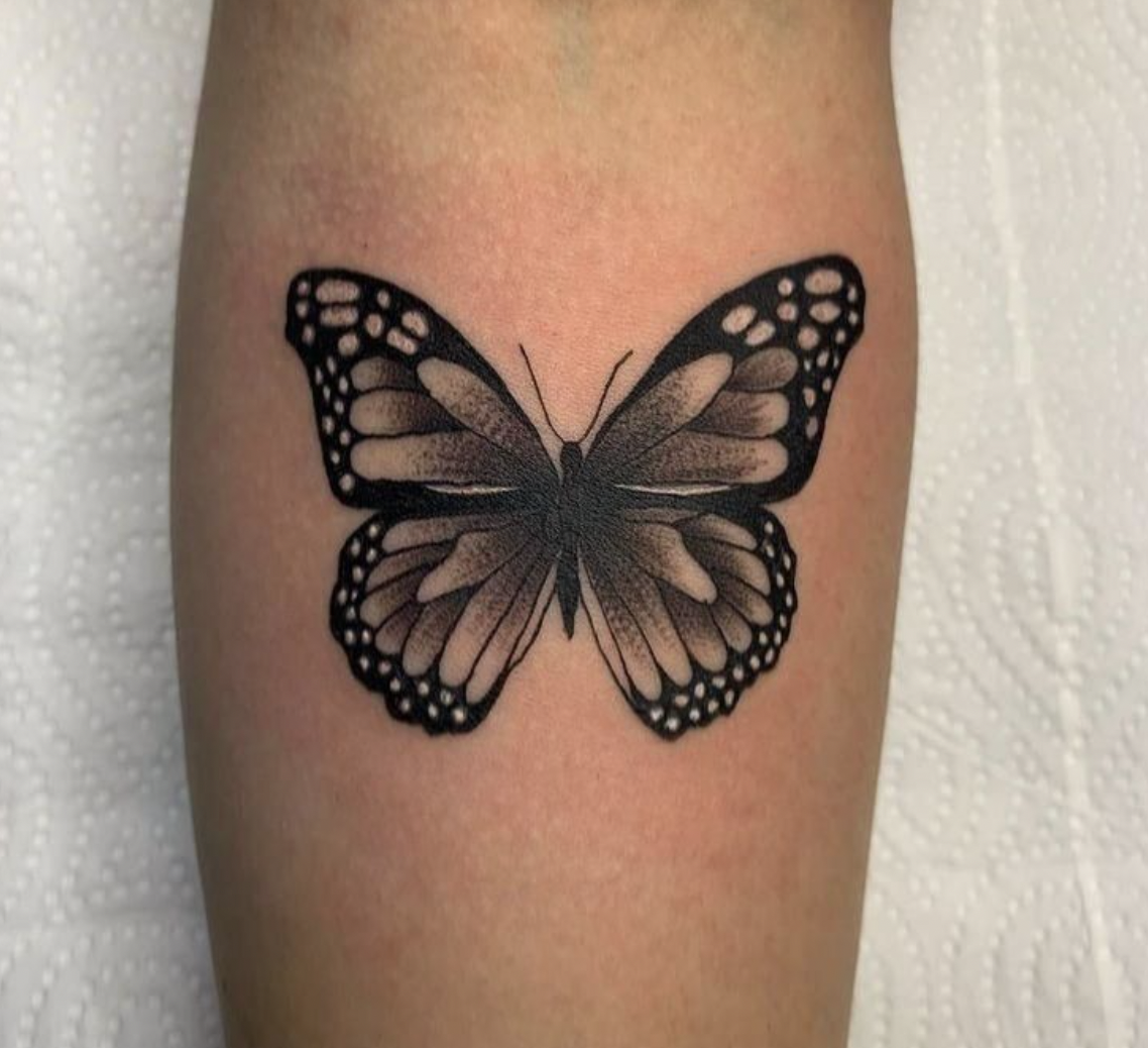 realistic-butterfly